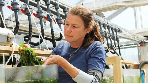 Gunilla Toth på Nordic Seafarm.