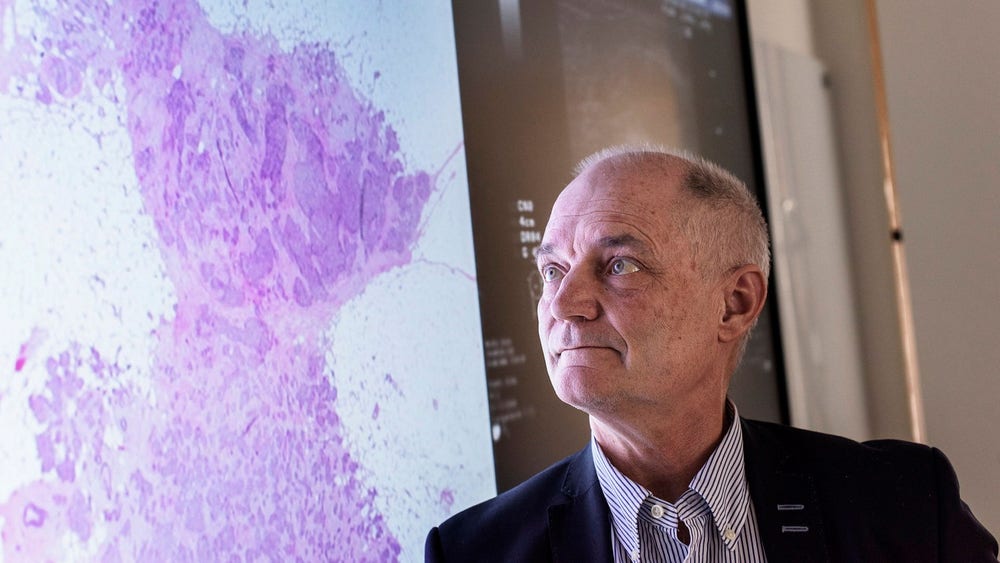 Stark orderingång för Sectra – men lägre lönsamhet