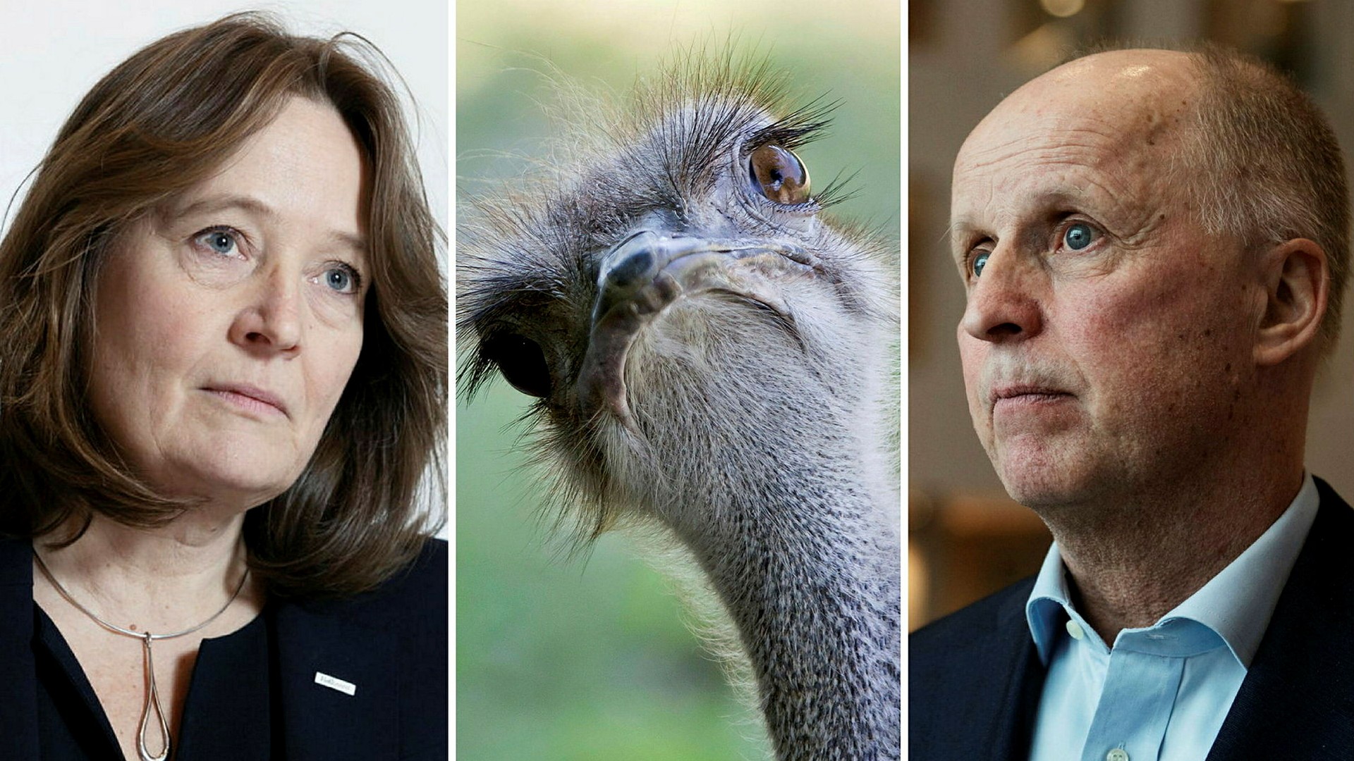 Folksam, med vd Ylva Wessén, och Tieto Evry, med vd Kimmo Alkio, är två aktuella exempel på bolag med strutsbeteende, enligt Di:s Torbjörn Isacson.