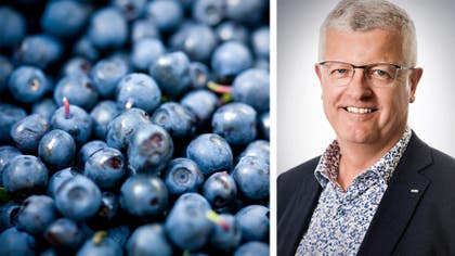 Mats Granberg är företagsrådgivare på SEB.