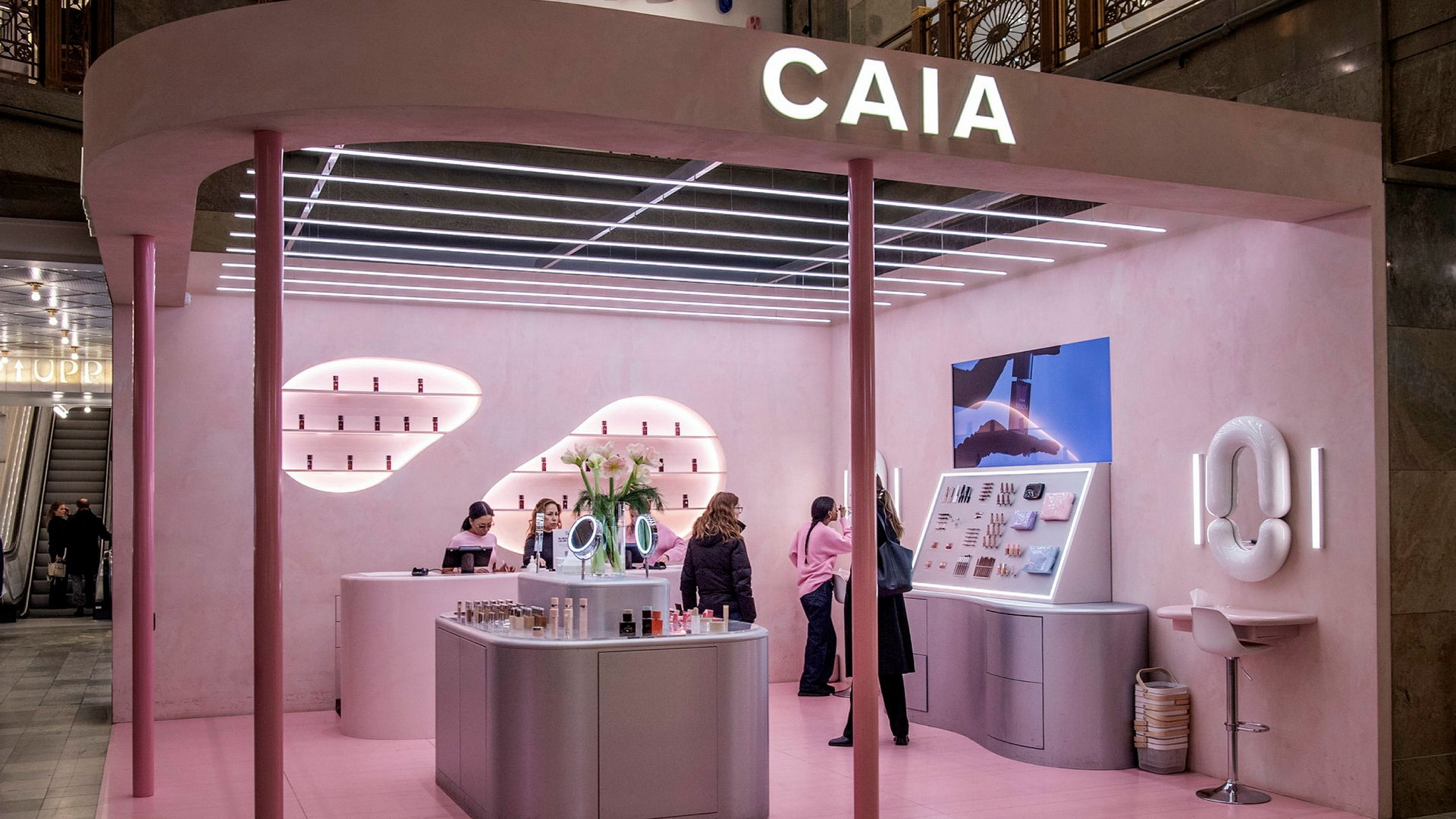 Caia omsatte 411 miljoner kronor 2022, och väntas 2023 omsätta 512 miljoner kronor.