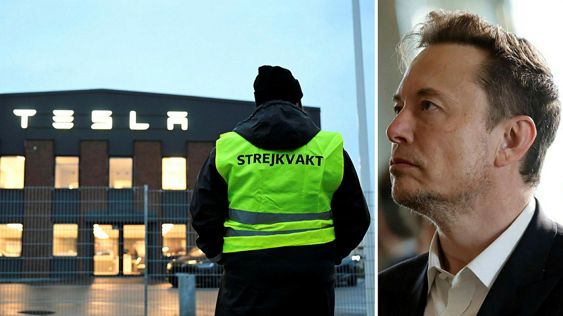 Ordern från Elon Musk: Tesla får inte skriva på något avtal