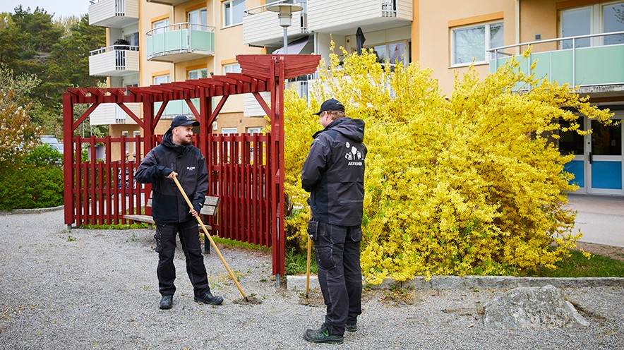 Så får de unga att jobba och studera: "Rätt enkel modell"