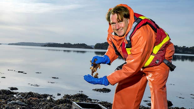 Fredrik Norén är marinbiologen som med hjälp av den svenska sjöpungen sätter smak på maten och värnar samtidigt ett levande hav.