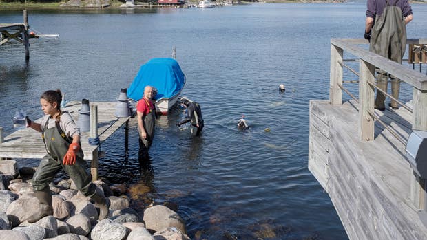 Tjärnö Marina Laboratorium är ett levande lärosäte, där många studenter jobbar på fältet.