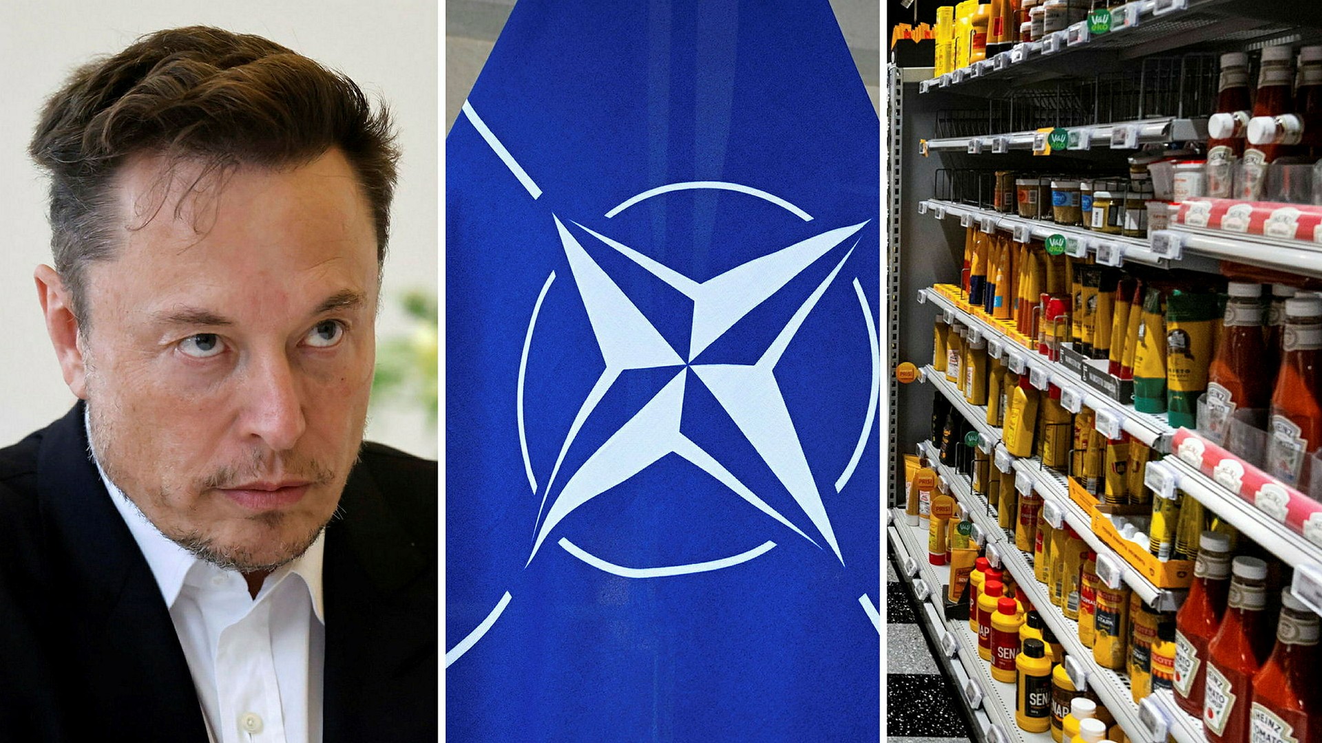 Elon Musk, en Natoflagg och prislappar och varor i en livsmedelsbutik.