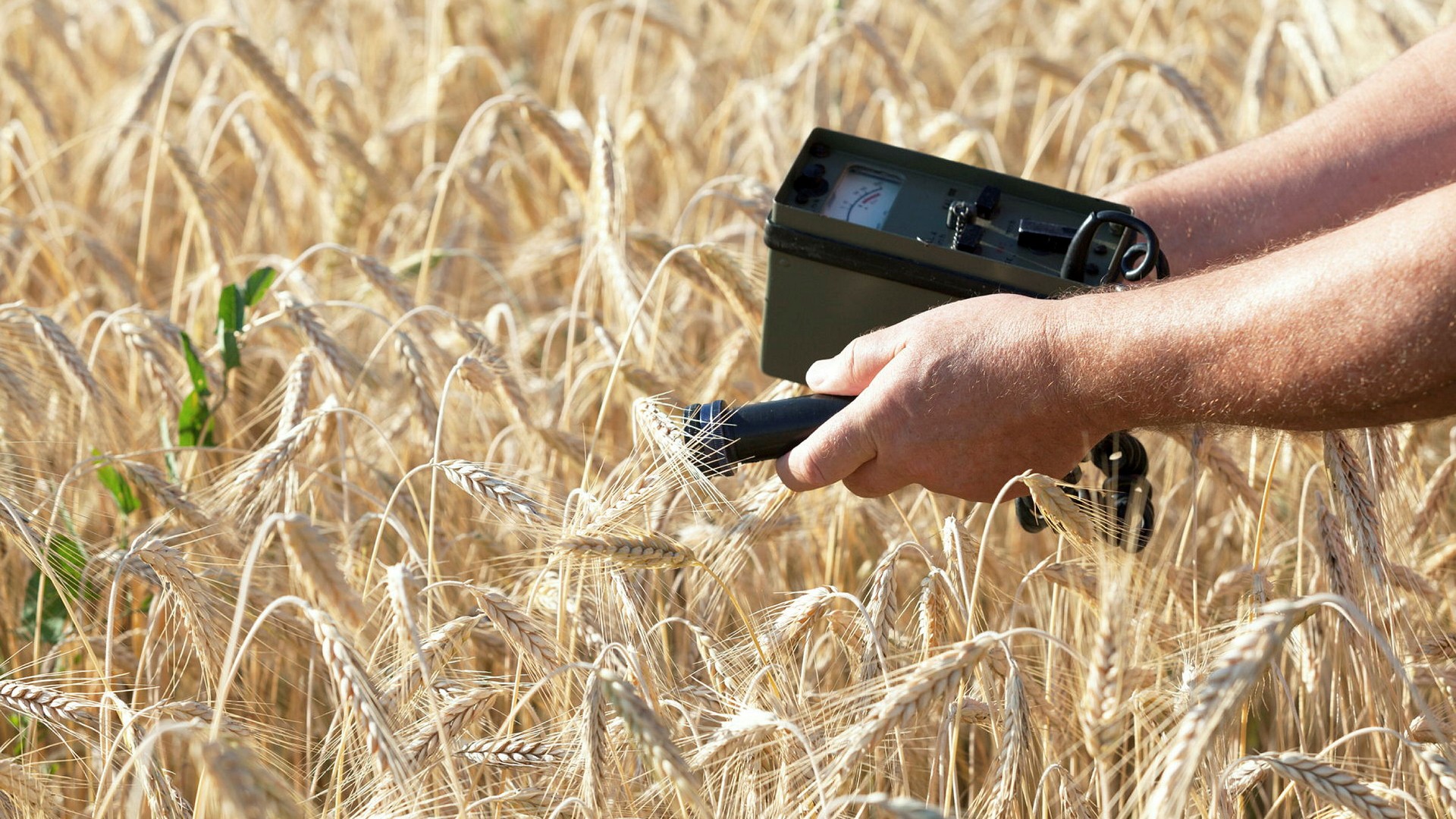 Rustat för tre råvarurallyn