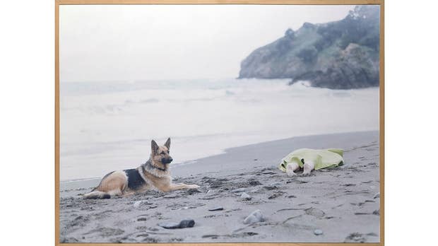 Hey Buster! What Do You Know About Desire? (1995)