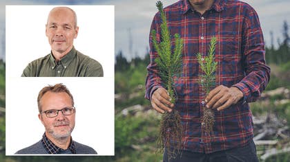 Torgny Näsholm, grundare och utvecklingschef på Arevo.
Carl-Gustav Löf, VD på Arevo.