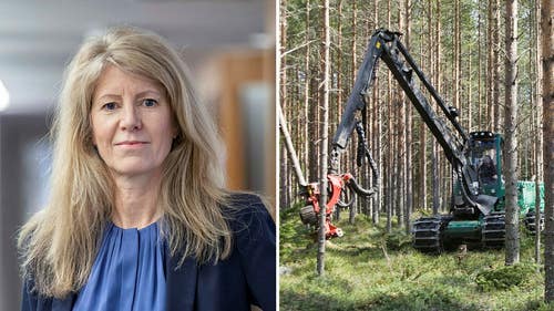 Kerstin Hallsten, chefsekonom Skogsindustrierna.